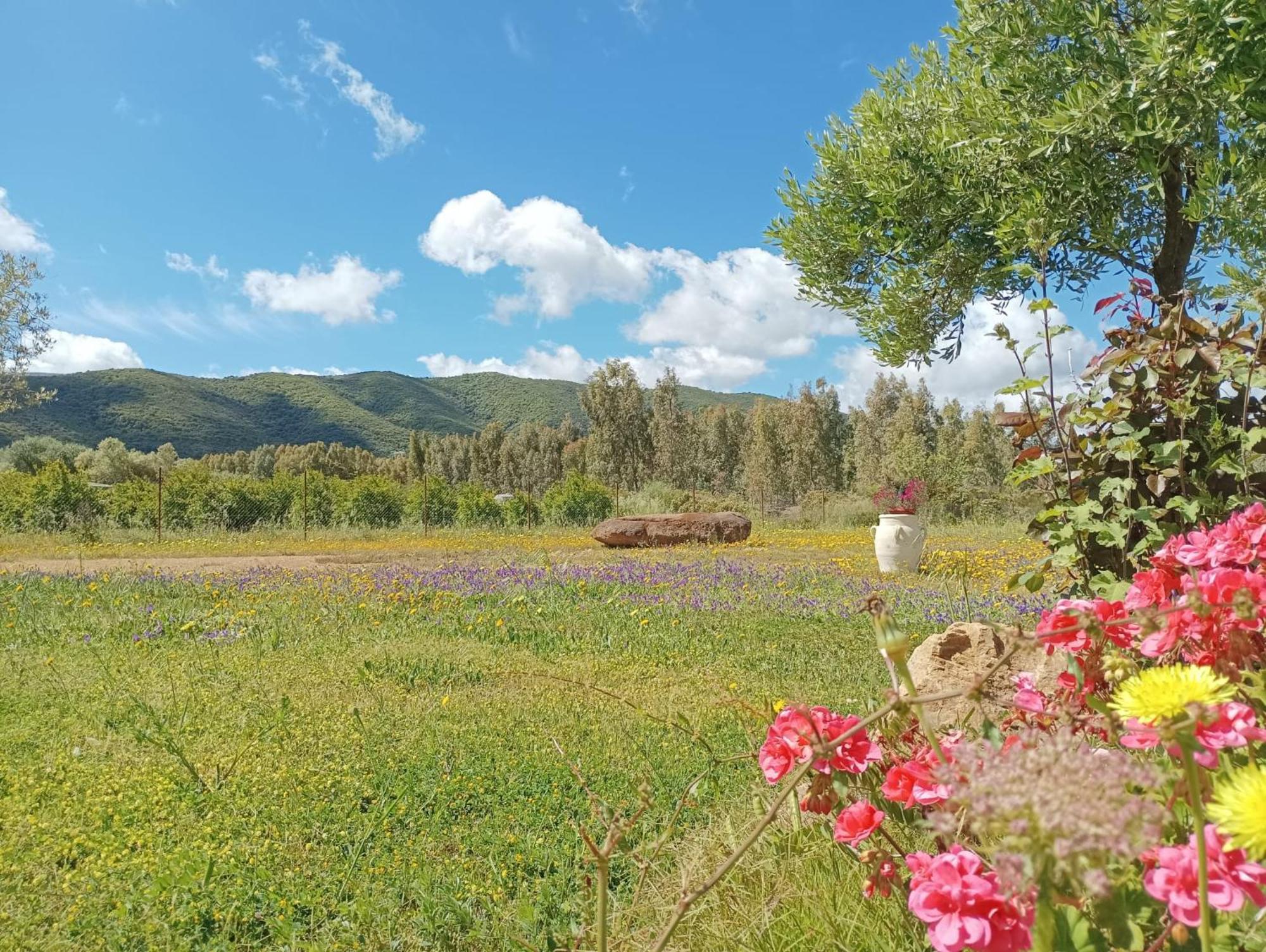 B&B Sensorial Experience Villamassargia Bagian luar foto